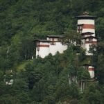 8192713988_4cc52b7755_b