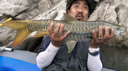 IMG-20240213-WA0008-1024x768