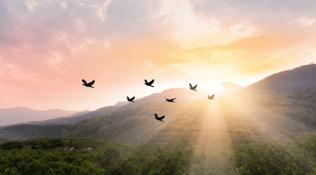 Tour-Packages-Images-1024x597 (1)